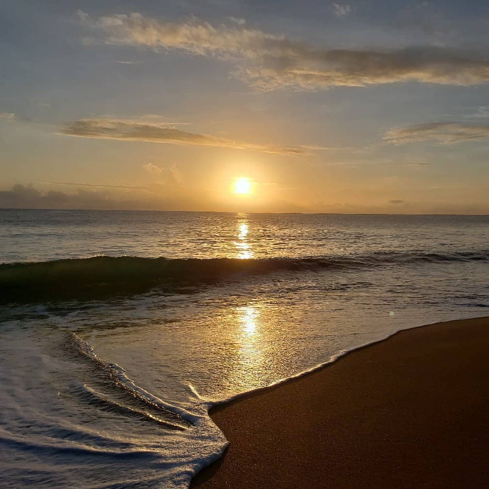 The Endless Shoreline