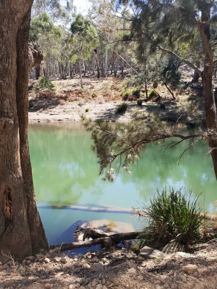 4WD Adventure Tracks