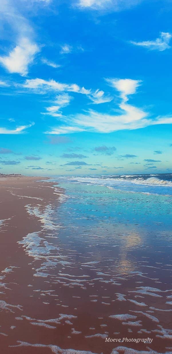 Beach Camping