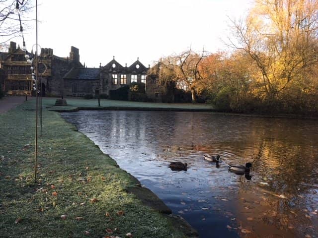 Summer of Play Activities