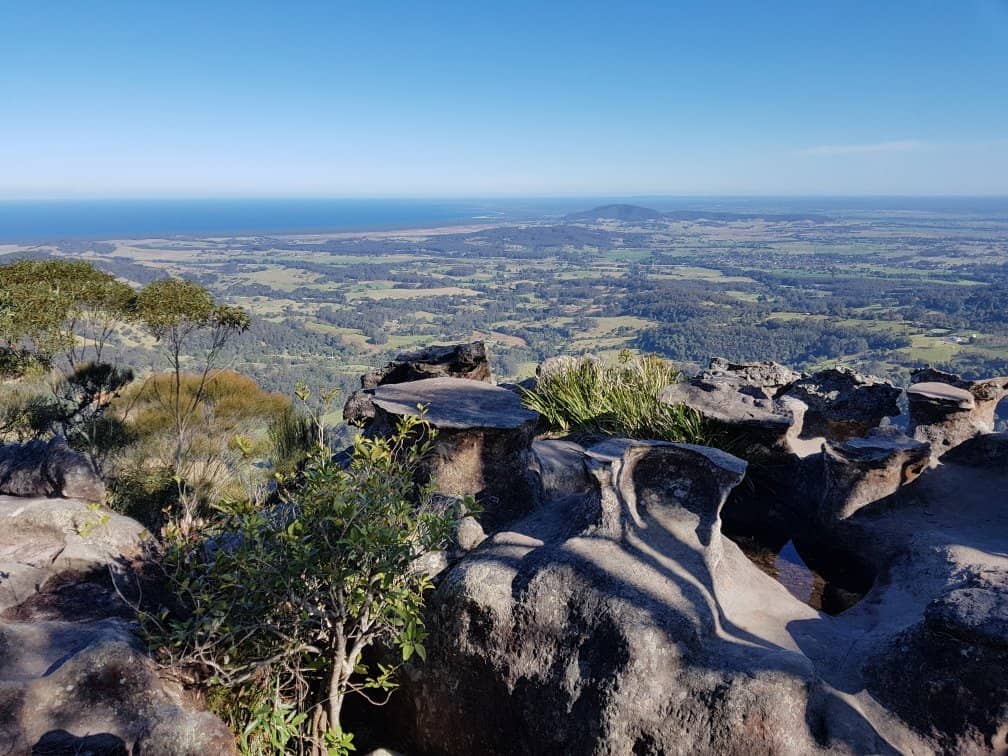 Bushwalk Through Native Scenery