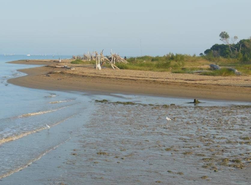 Bike-Friendly Transport