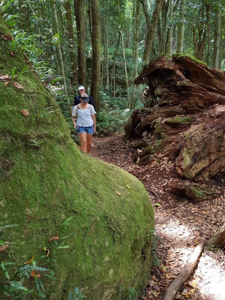 Clover Hill Trail