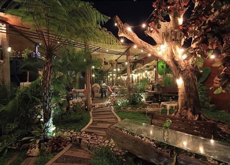 Diverse Culinary Delights