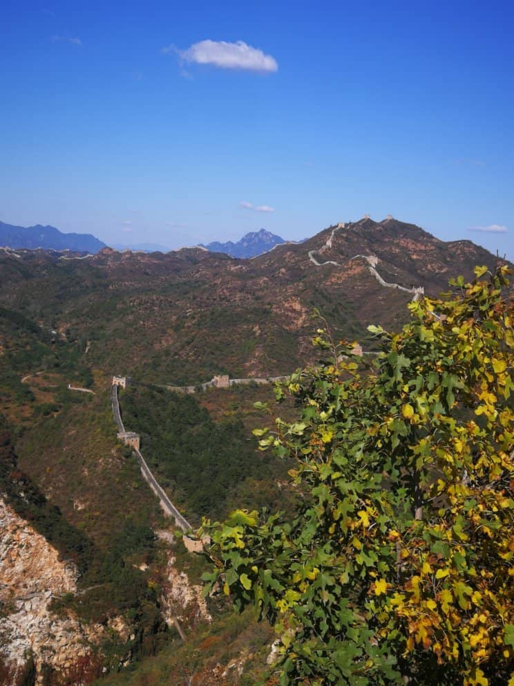 Kung Fu Performances