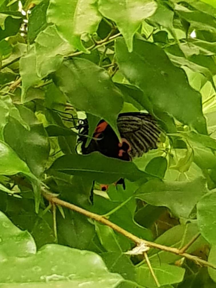 Informative Guided Tours