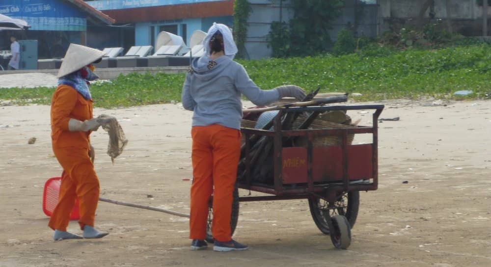 Vast City Park Gardens