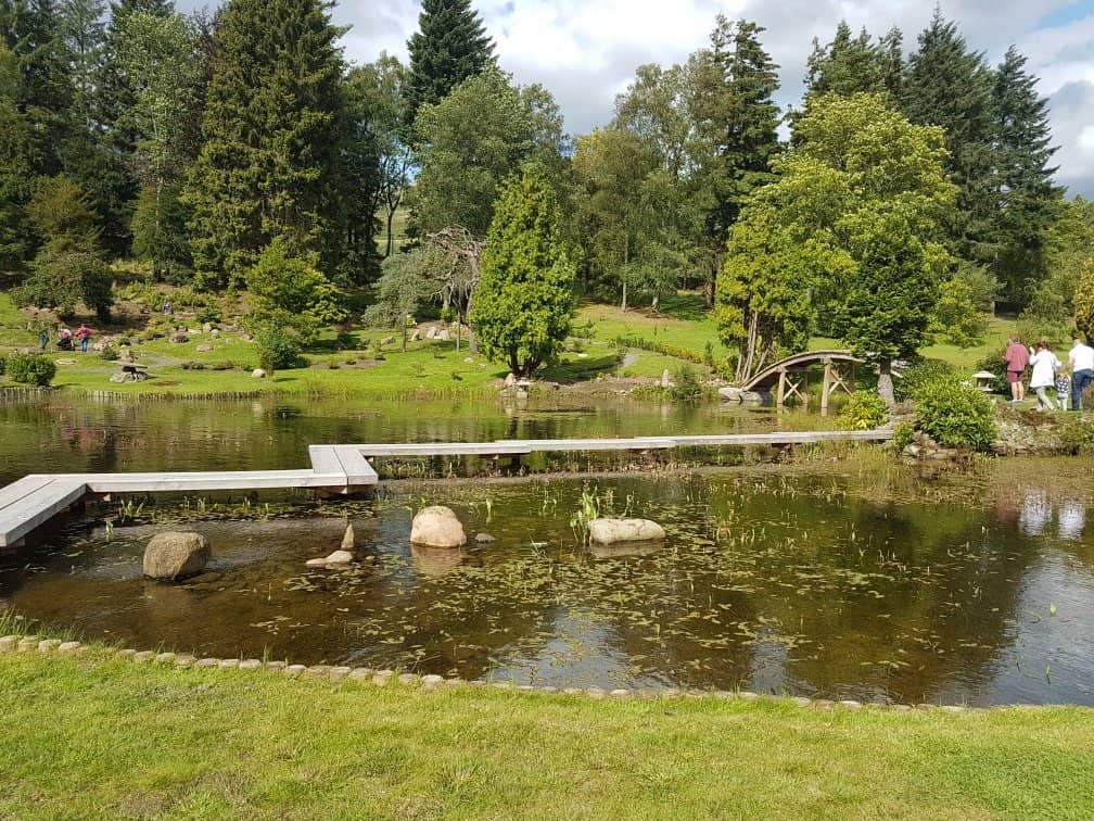 The Serene Pond