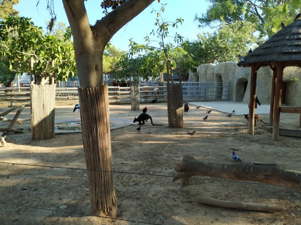 Kid-Friendly Playground
