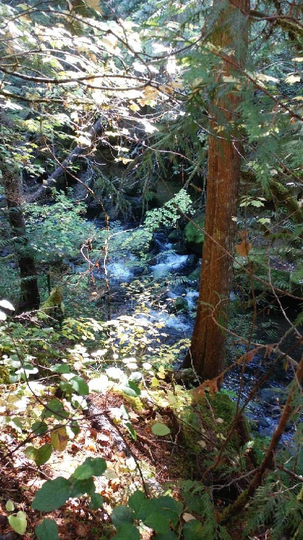 Rocky Ascent Trail