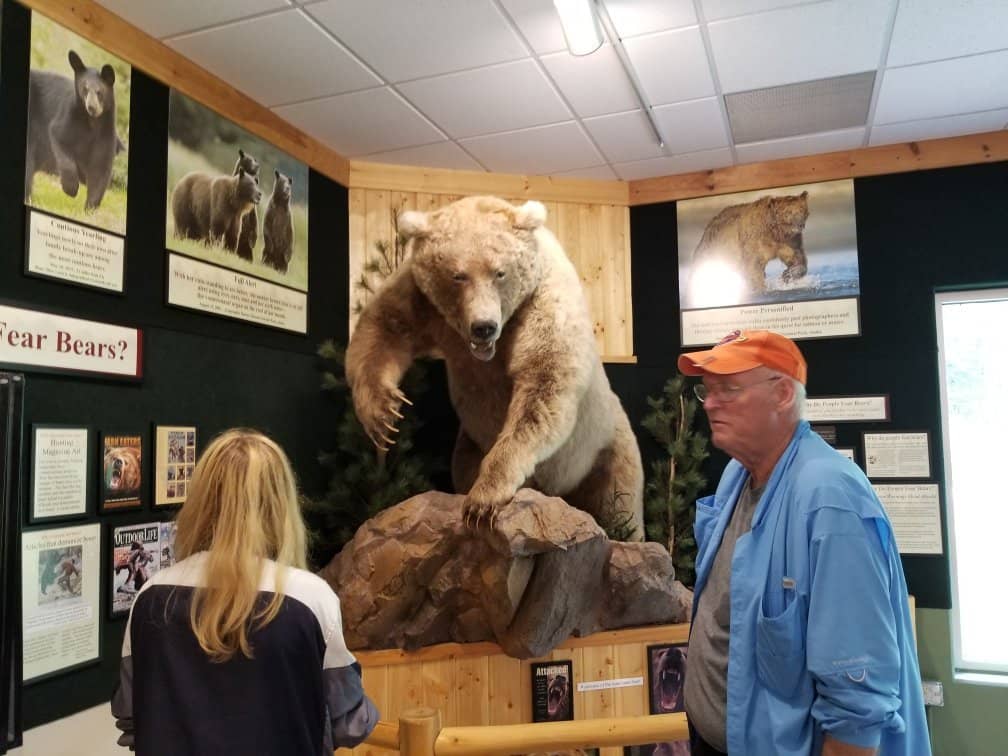 Wild Bird Feeding Trail