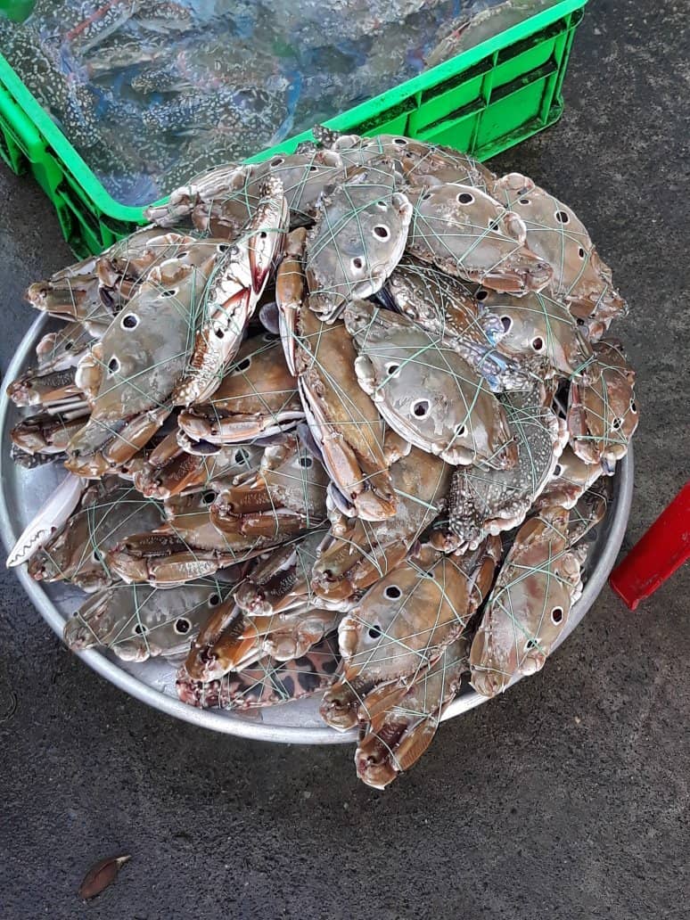 Dried Seafood Stalls