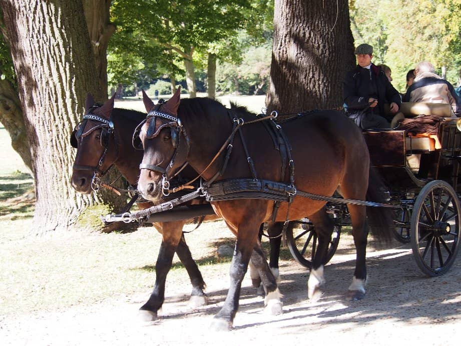 English Landscape Gardens