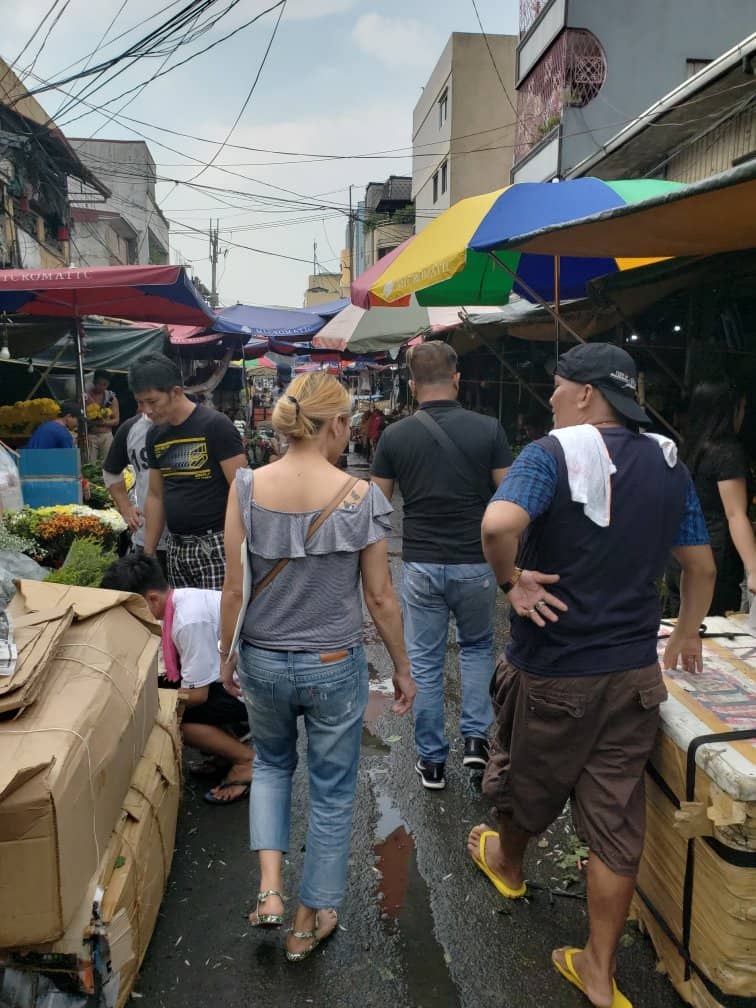 Dried Flowers & Foliage