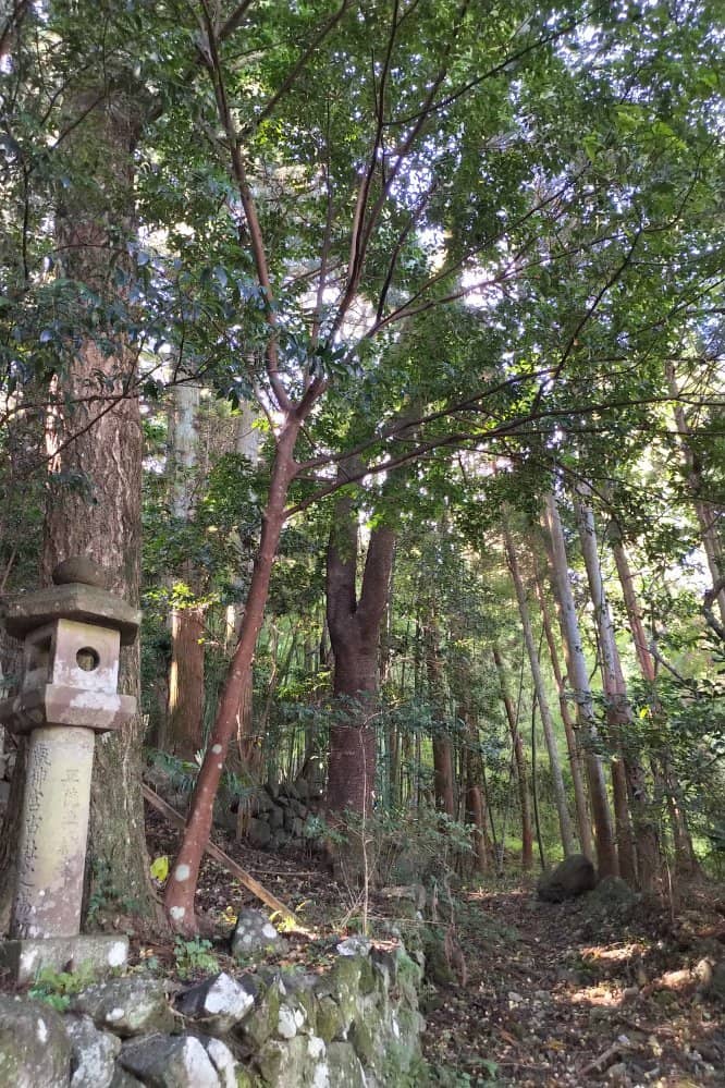 Torii Gate in Kirin Lake