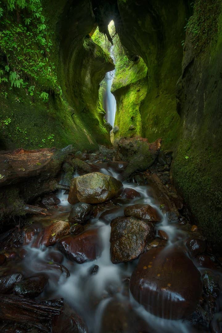 Vertical photo