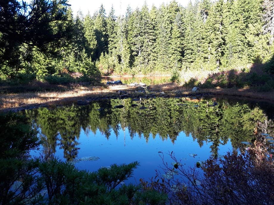 Hollyburn Lodge
