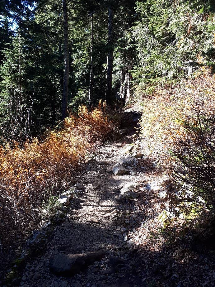 Lights to the Lodge Trail