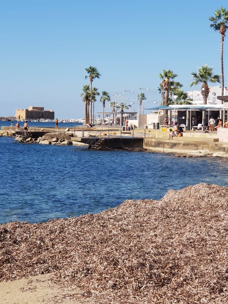 Sandy Shores & Clear Waters