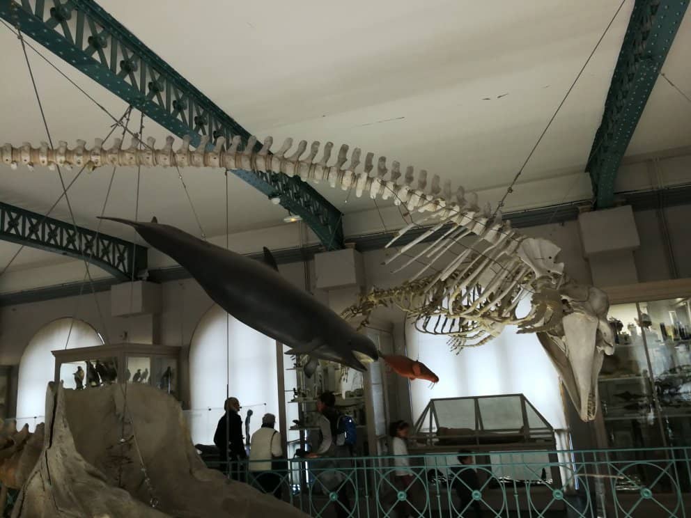Insectarium Wonders