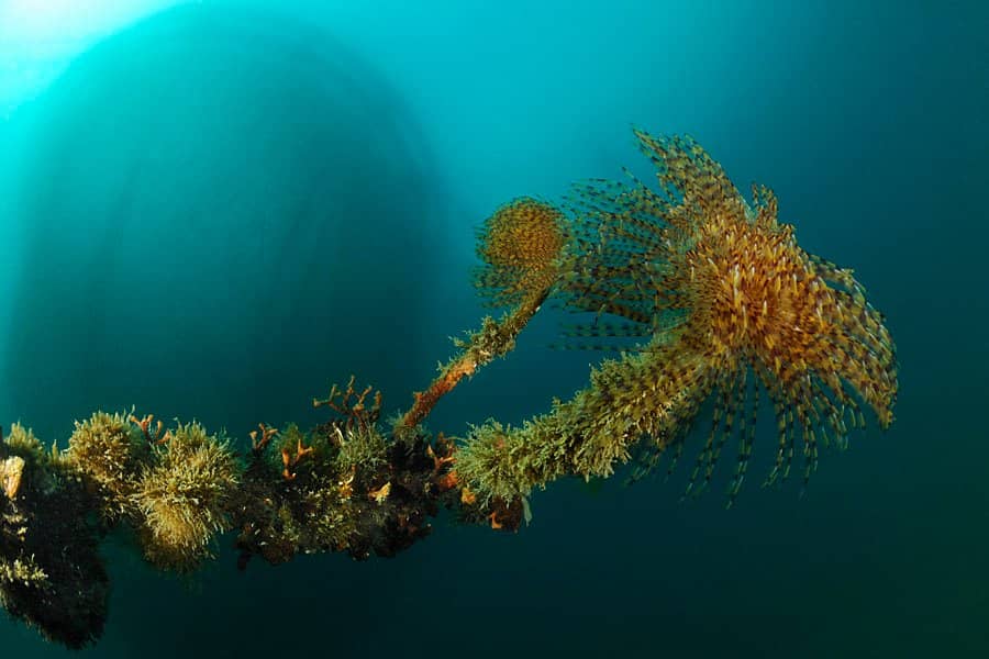 Interactive Cooking Workshop