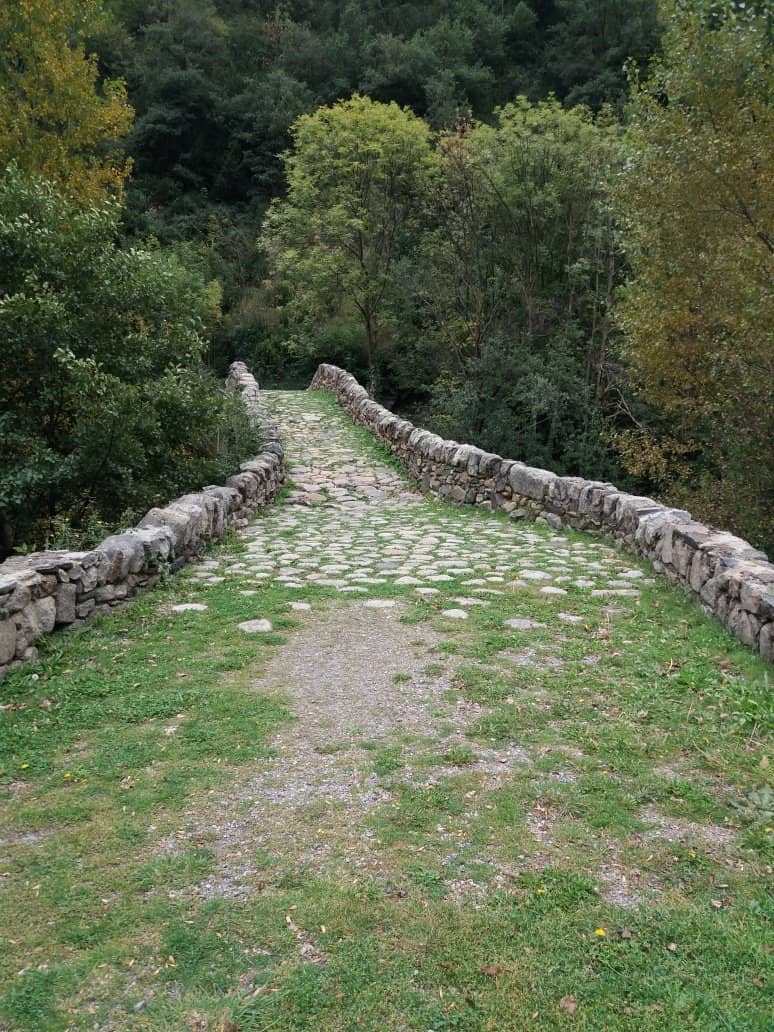 Hiking Trails