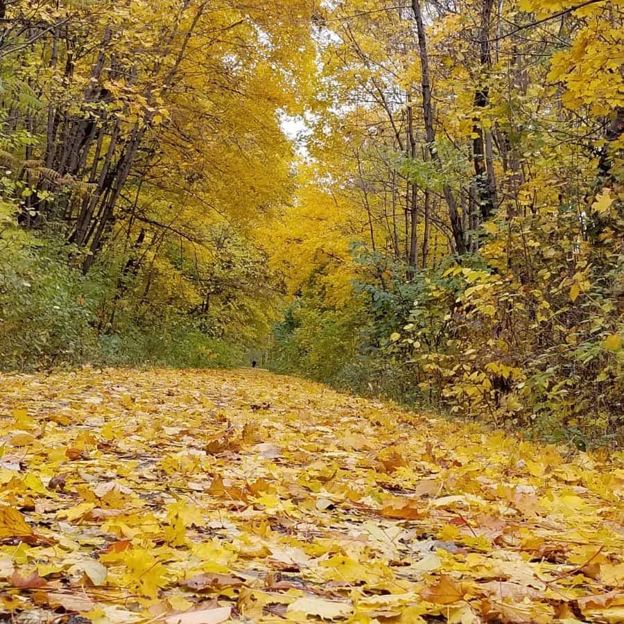 Escarpment Rail Trail Lookout