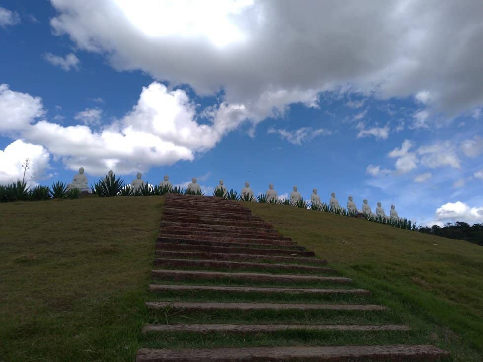 Zen Gardens and Serene Atmosphere