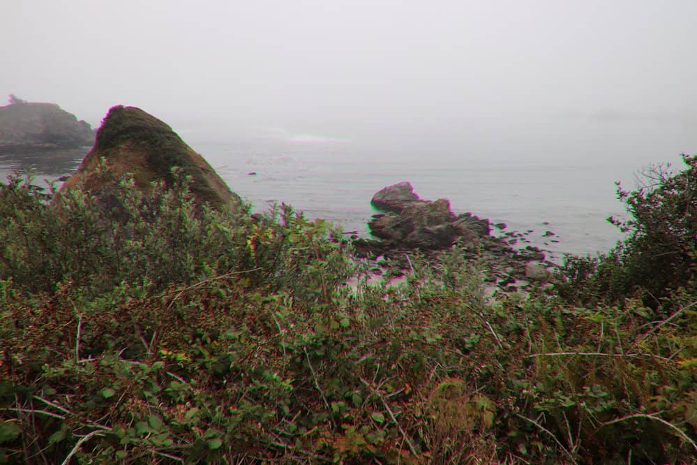 Tide Pool Exploration