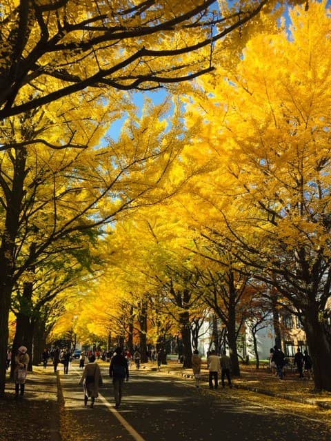 Vertical photo