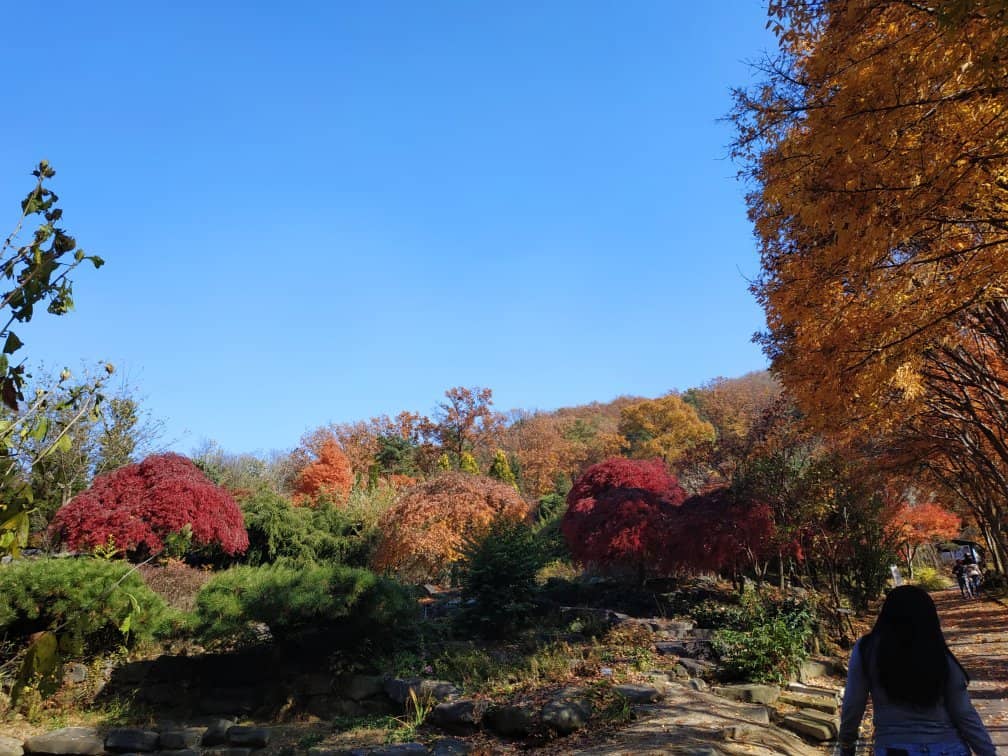 Unique Tree Species