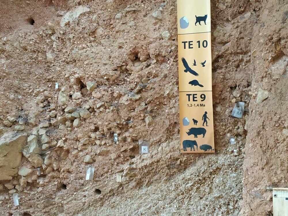 Excavation Sites