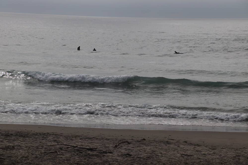 Coastal Views & Wildlife