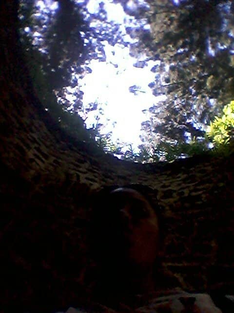Vertical photo