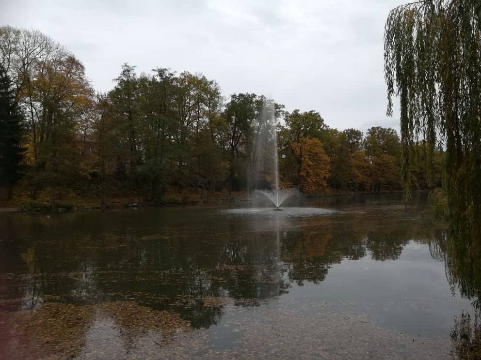 Kid-Friendly Playground