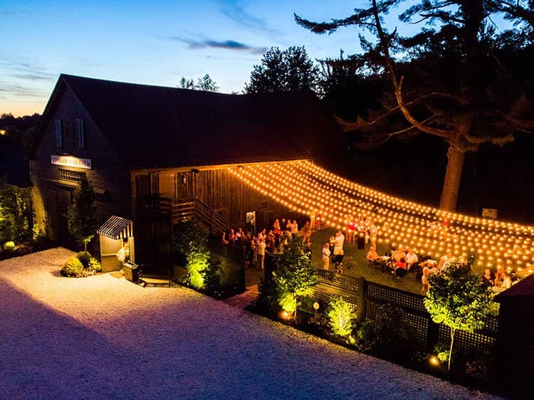 Diverse Artist Lineup