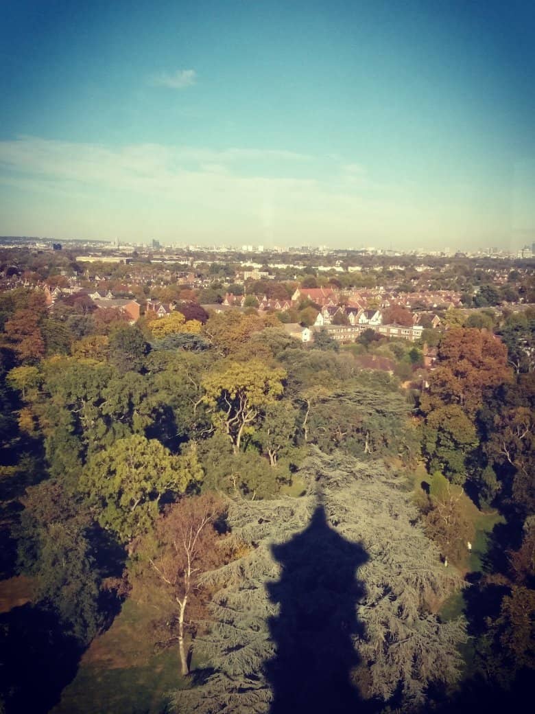 Intricate Dragon Adornments