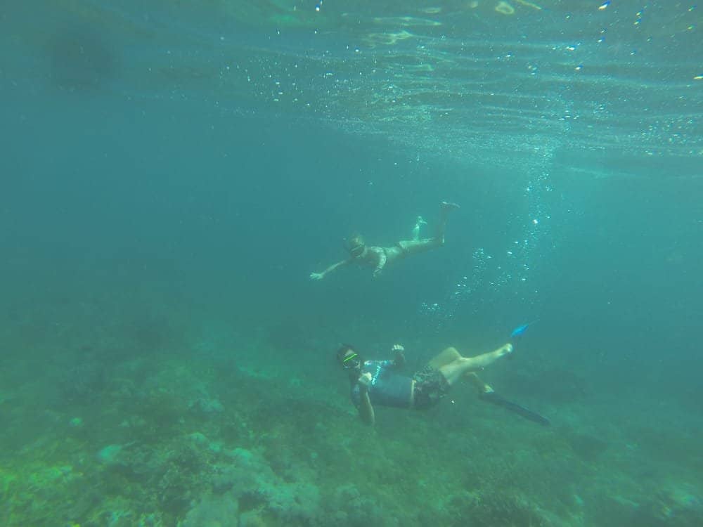 Swimming with Manta Rays