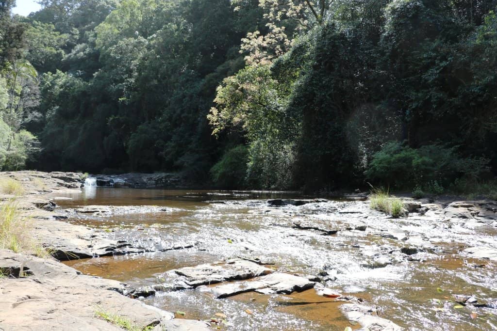 Shallow Rock Pools
