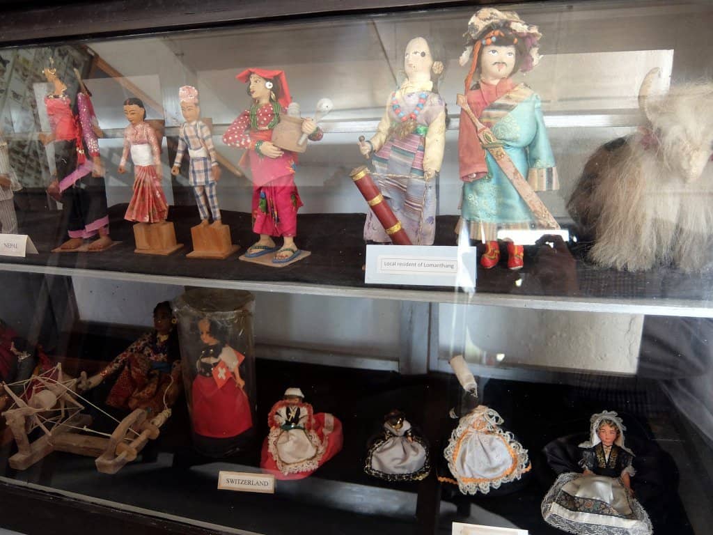 Wildlife Exhibits
