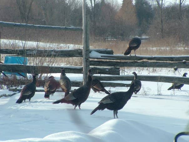 Interactive Educational Displays