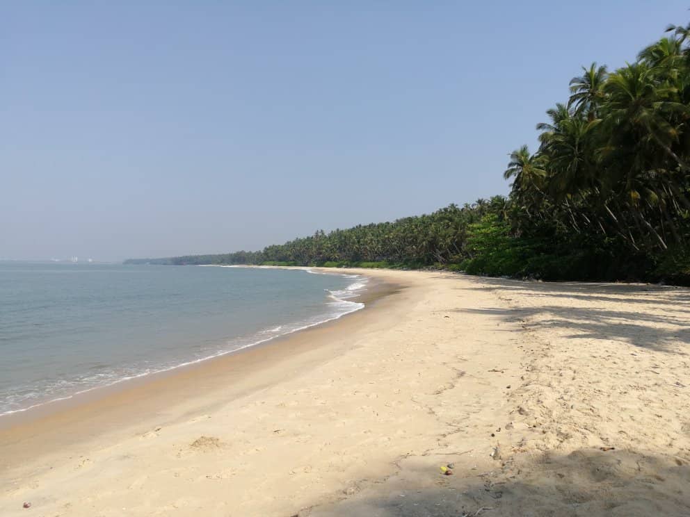 Pristine Sands