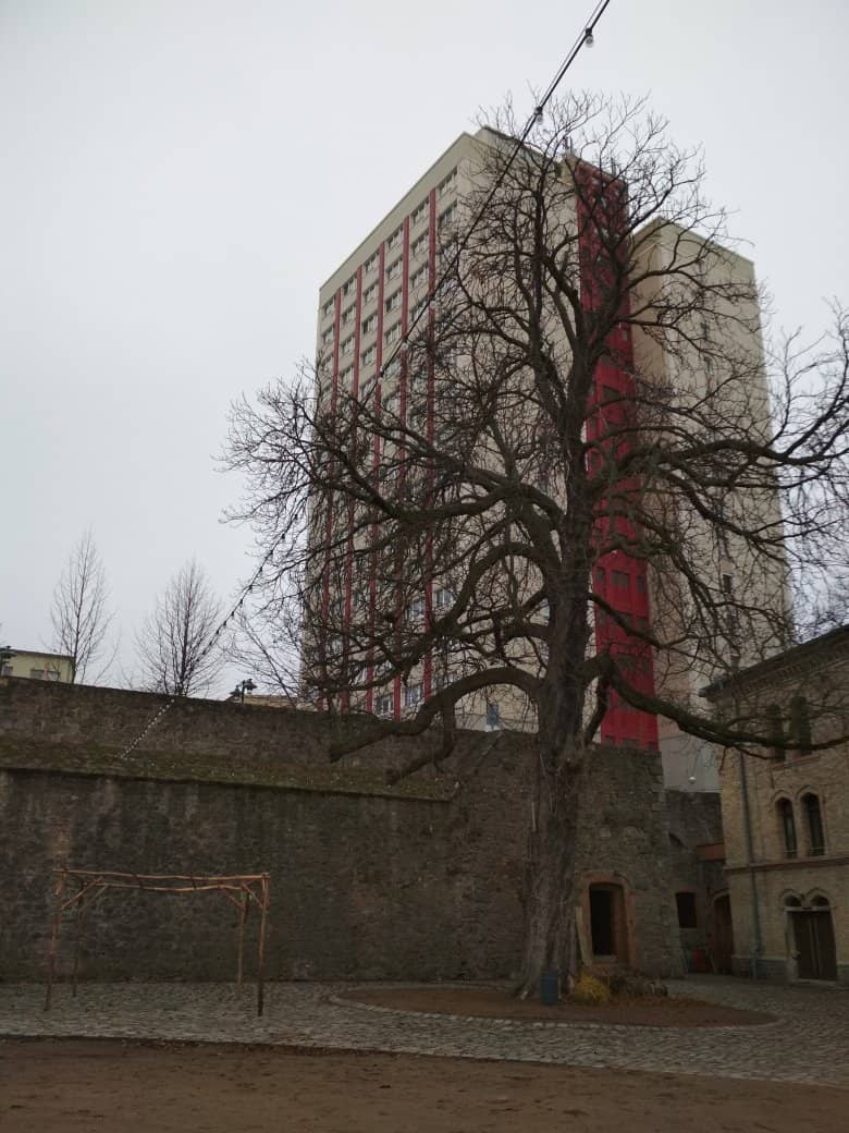 Job Fairs & Career Events