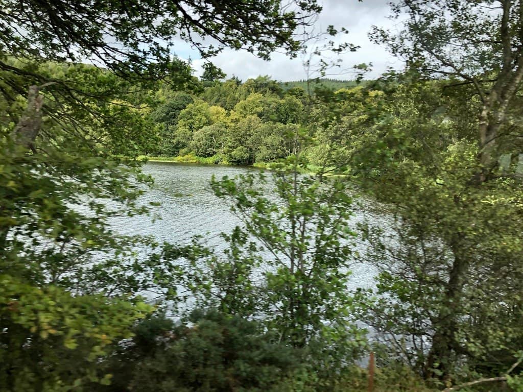 Stargazing Opportunities