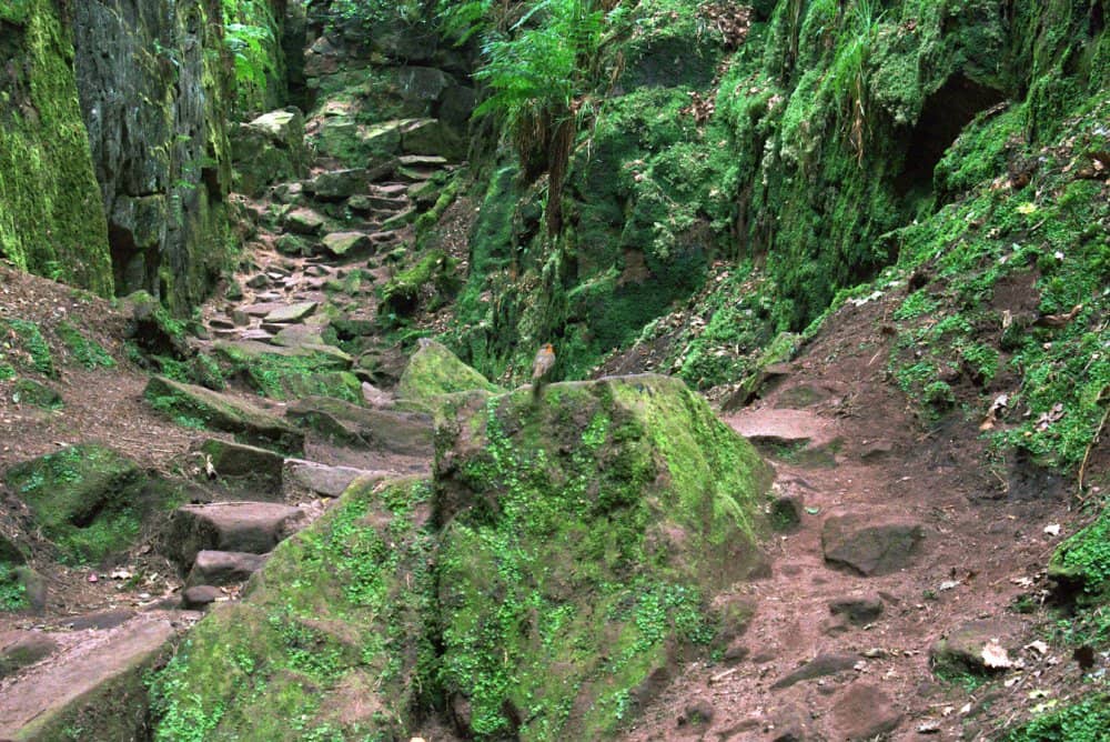 The Chasm Itself