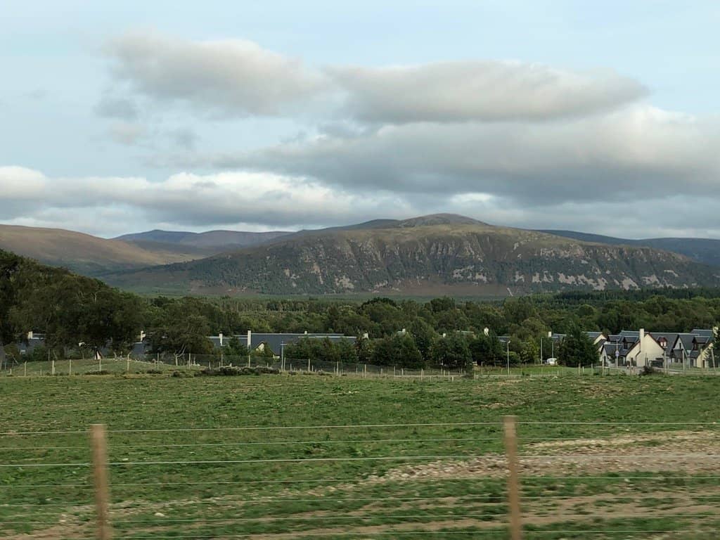 Lochans and Wildlife