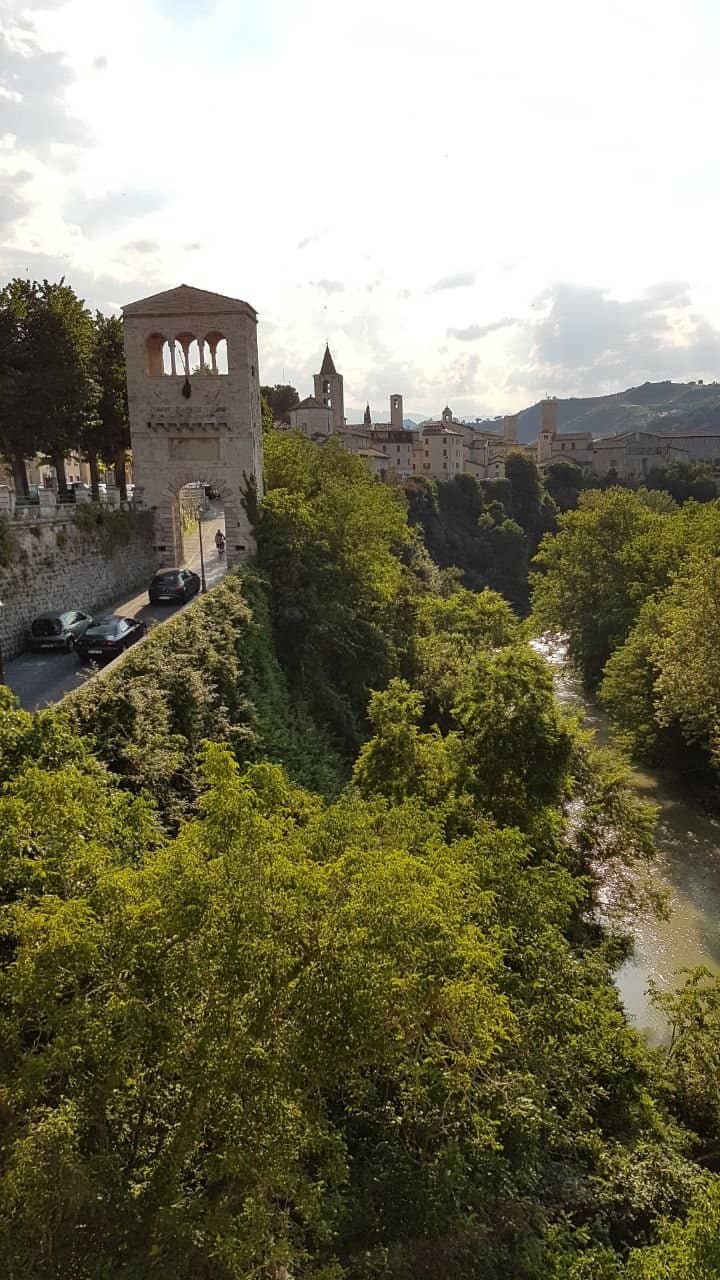 Vertical photo