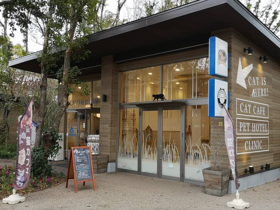 Fountain Show Spectacle