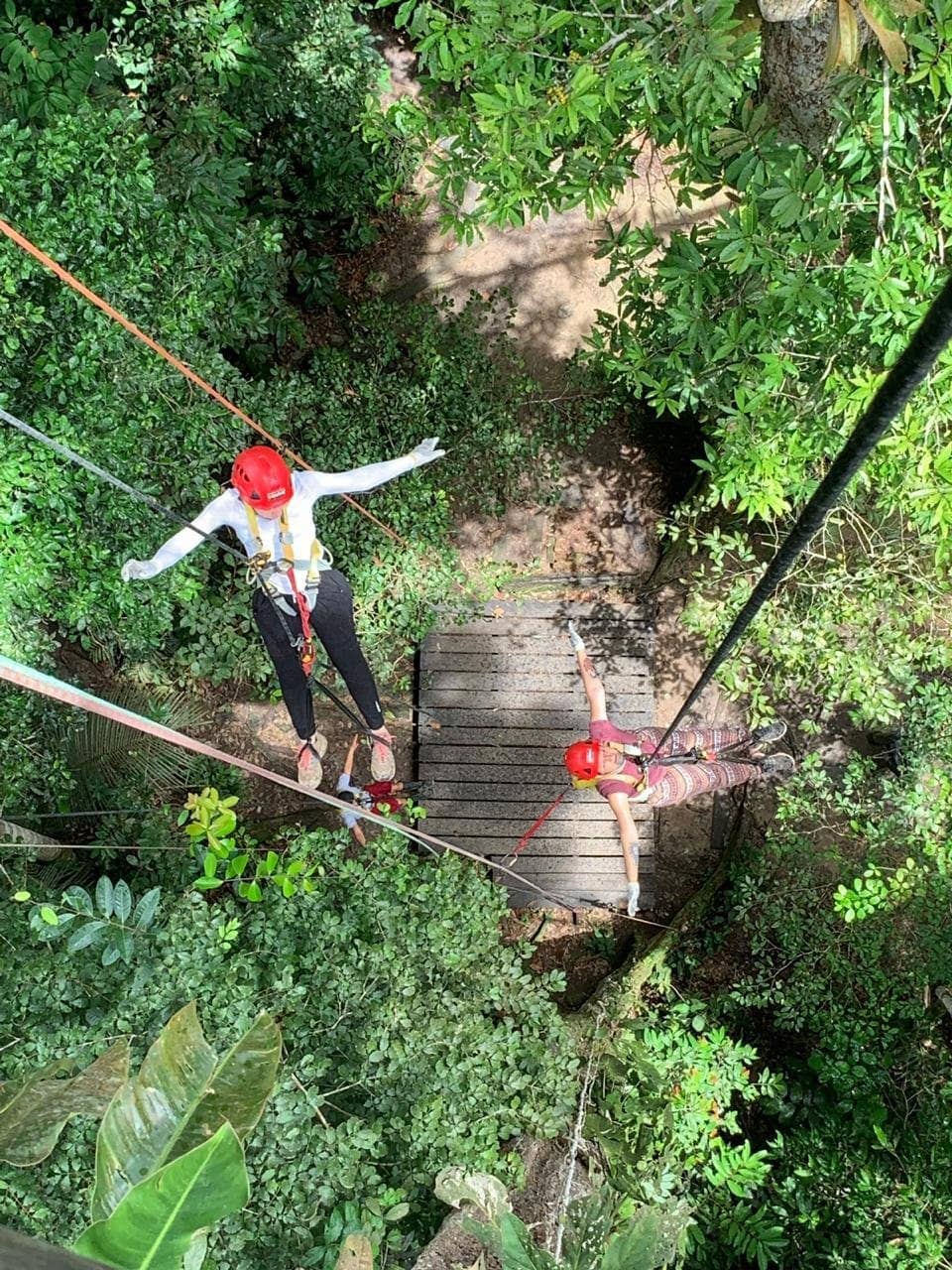 Nocturnal Wildlife Walks