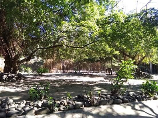 Botanical Garden Paths